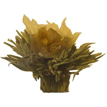 Matcha green tea latte