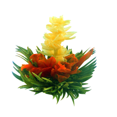 Tea Beyond FLS 3SET BLF2100 L 12 Pack Exclusive Fab Jasmine Flowering Blooms Tea